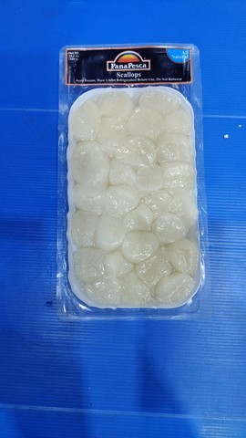 Scallops