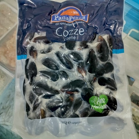 Back Mussel