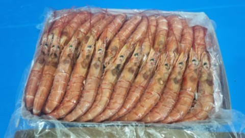 Argentine shrimp frozen on board, fresh and premium quality from AzzurroSeafood