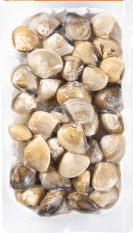 Fresh Hardshell Clam seafood – premium quality, ready for delivery