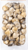 Fresh Hardshell Clam seafood – premium quality, ready for delivery